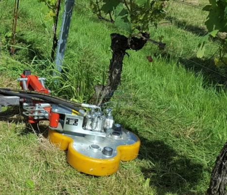 Andere MGV Kleeblatt