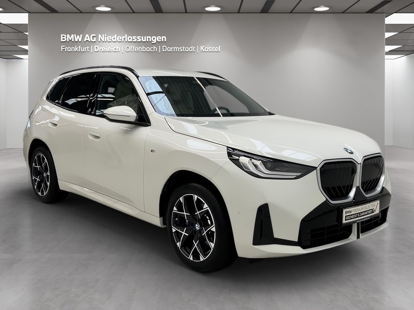 BMW X3 30e xDrive M Sport AHK Driv.Assist Kamera foto 3