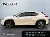 Lexus UX 250h Style Edition *Bi-LED*ACC*Kamera*SHZ*PDC - Lexus Gebrauchtwagen in Nürnberg