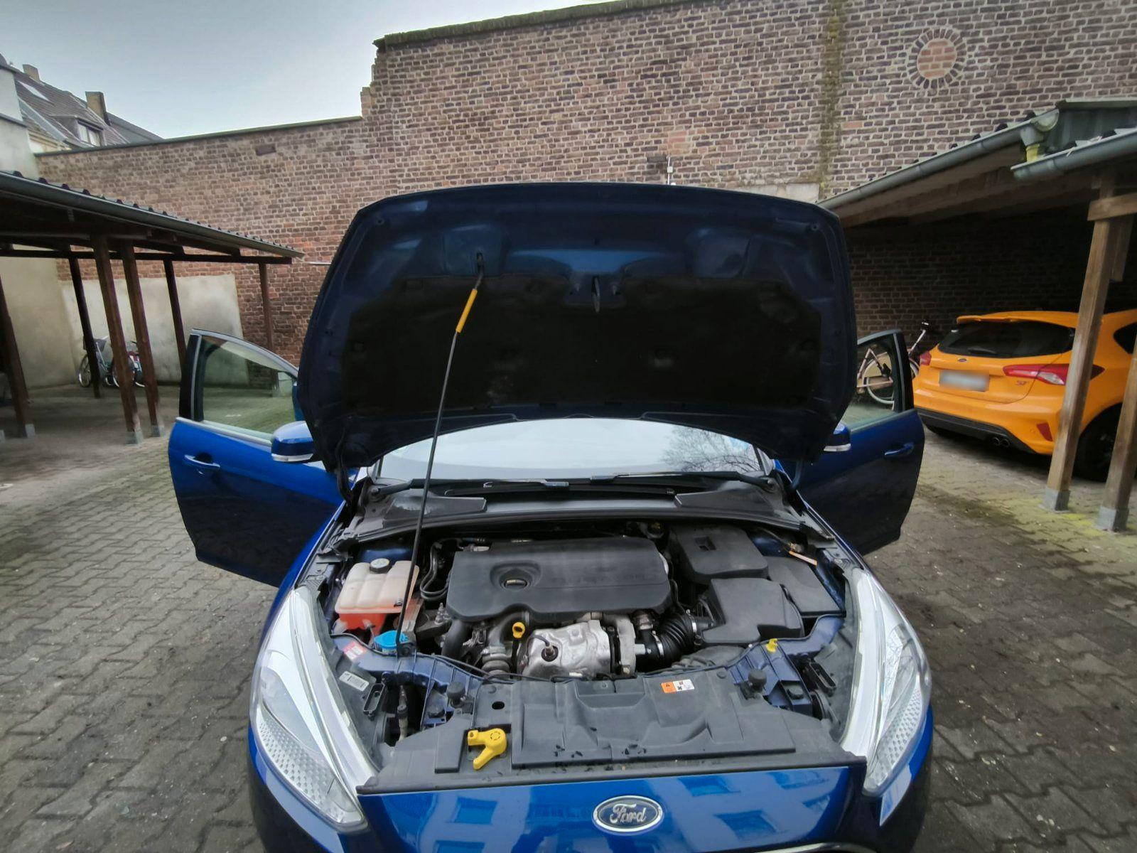 Ford Focus 2015 — photo 5
