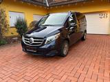 Mercedes-Benz V 250 d 4MATIC AVANTGARDE kompakt EDITION 