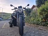 Moto Guzzi Griso 1200 8V Tenni Special Edition - MOTO GUZZI MOTORRAD