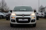 Fiat Panda 1.2 EASY/SHEFT/8FACH/RADIO - Fiat Panda: 1.1