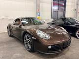 Porsche Cayman MACCADAMIA met.19% MWST INKL.! Buy netto! - gebrauchte Porsche Cayman aus dem Jahr 2011