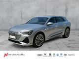 Audi e-tron 55 QU 2xS-LINE LED+NAVI+AIR+GRA+360°+21Z. - silberne Audi e-tron