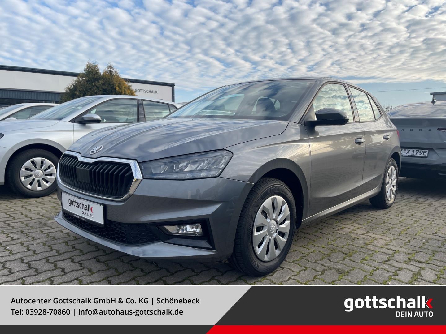 Skoda Fabia Selection 116 PS DSG Parks. RüKa Sitzh. Ca