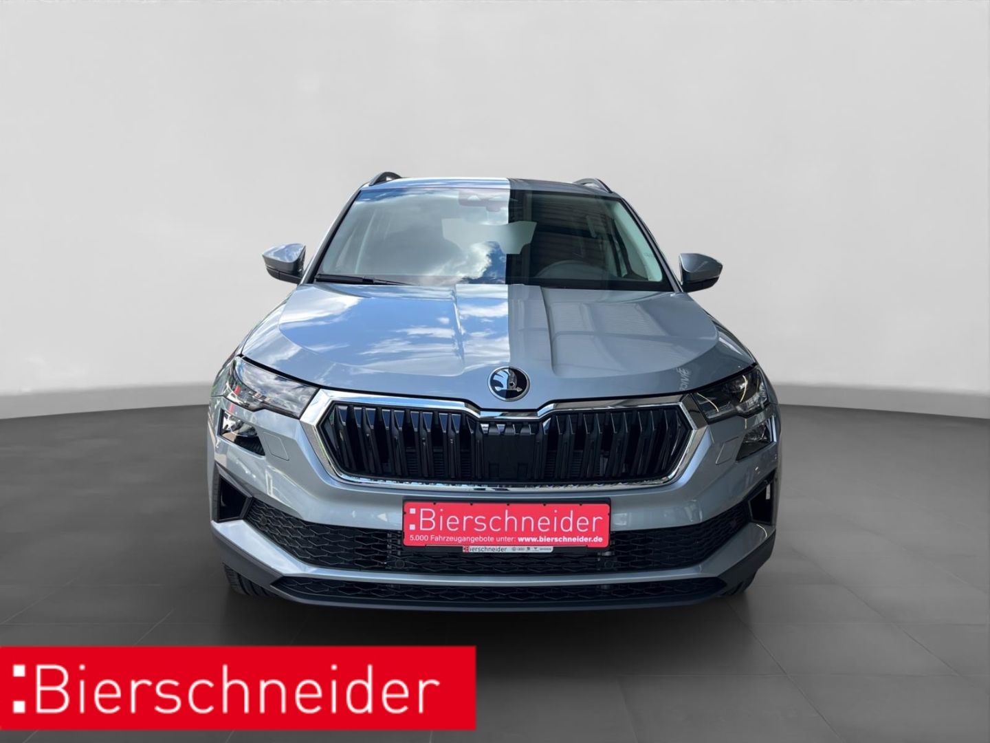 Skoda Karoq - Bild 10