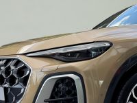 Audi SQ5 - Vorschau Bild 3