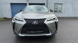 Lexus UX 250h Executive Line, Scheckheftgepflegt - Lexus UX von privat