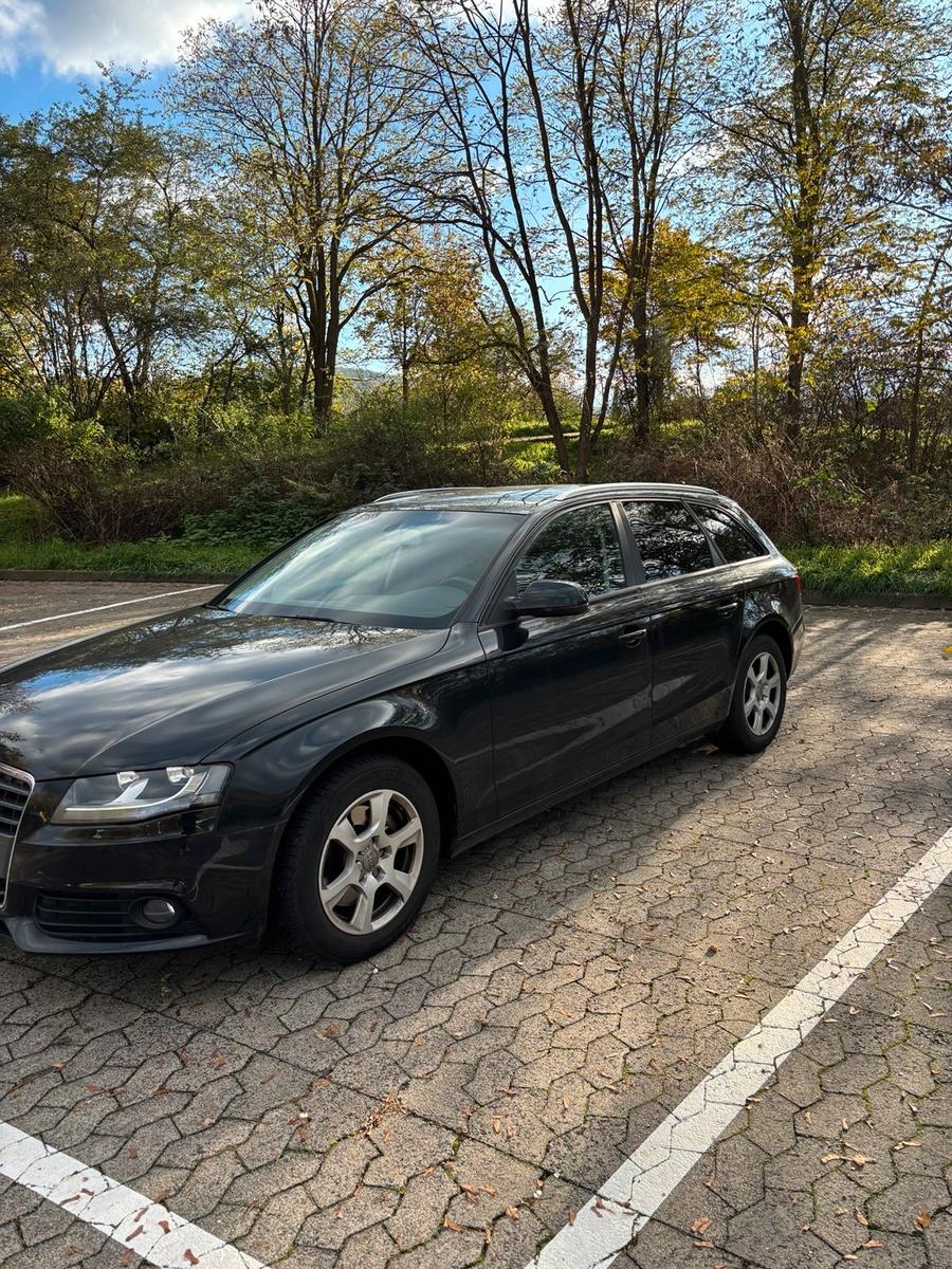 Audi A4 2010 — вигляд ззаду