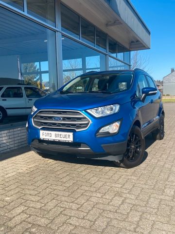 Ford EcoSport Cool & Connect NAVI 8 Fach bereift