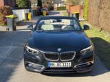 BMW 220i Cabrio Luxury Line - top Zustand - 8 x Alu - BMW: 2.8