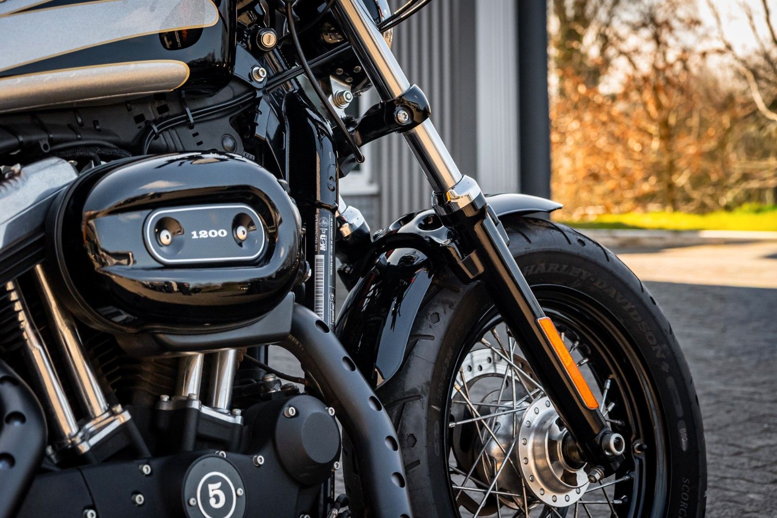 Fahrzeugabbildung Harley-Davidson XL1200X SPORTSTER FORTY-EIGHT - Remus -