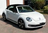 Volkswagen Beetle 1.4 TSI DSG 60's Cabriolet 60's - VW Beetle Gebrauchtwagen in Bremen