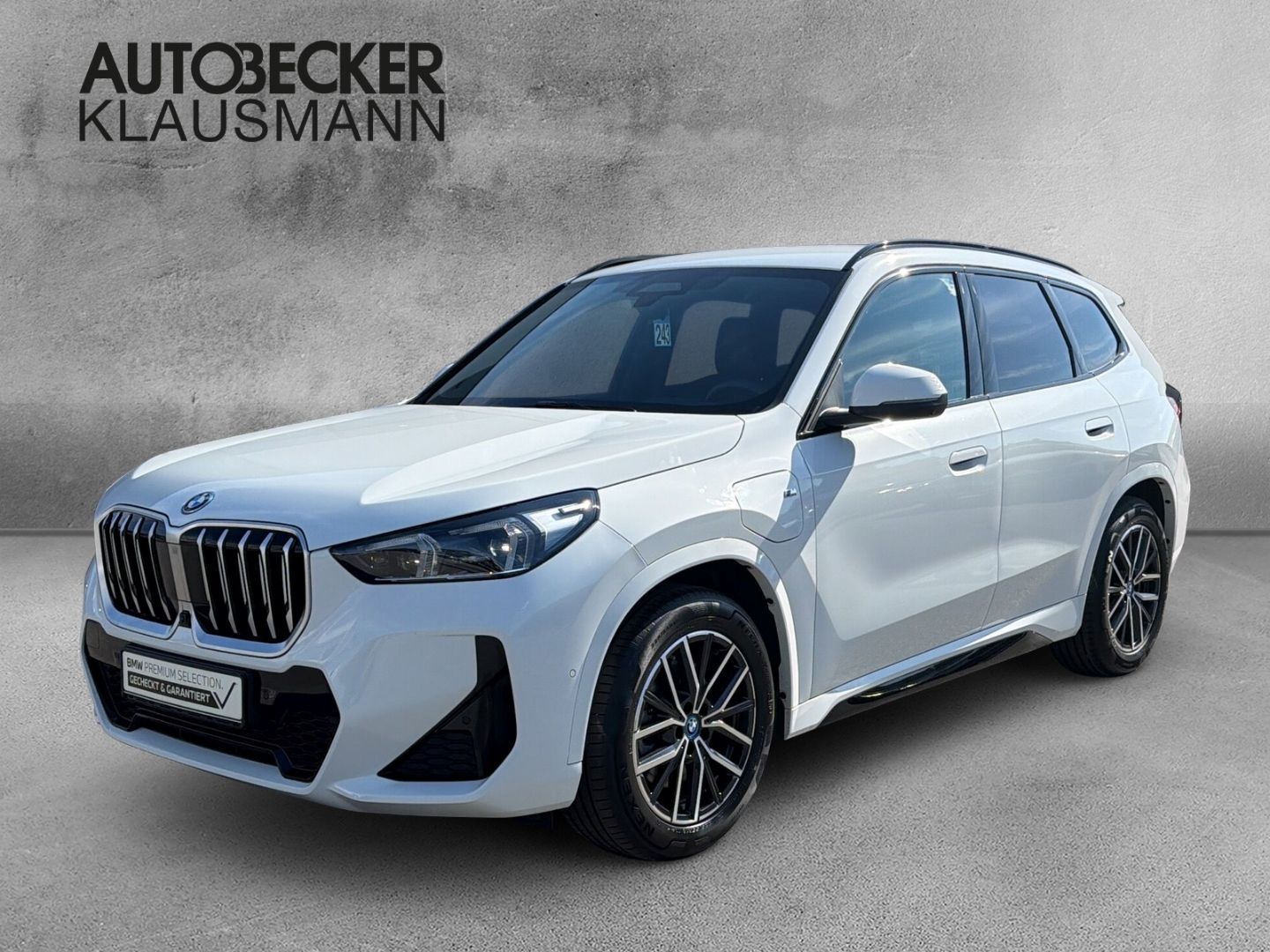 BMW X1 xDrive 30e M SPORT 18''LC PROF HuD ALARM AHK foto 1