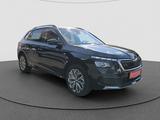 Skoda Kamiq 1.0 TSI DSG Tour NAVI RFK SITZHEIZ SMART L - Skoda Kamiq: Tour
