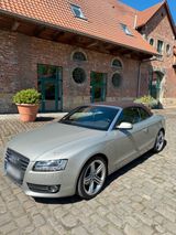 Audi A5 Cabrio S-line Plus,wenig Kilometer... - Audi A5 aus 2010: Line