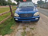 Mercedes-Benz Mercedes ML 320 - Mercedes-Benz ML 320 aus 2002