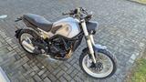 Benelli Leoncino Trail 500 E5 in silber /schwarz - BENELLI MOTORRAD