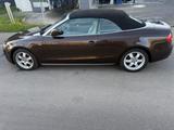 Audi A5 Cabriolet 2.7 TDI / S-Line / - Audi A5 mit Diesel-Antrieb: 2.7