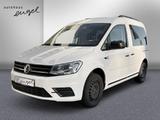 Volkswagen Caddy PKW Trendline,NAVI,TEMPO,SHZ,PDC,KAMERA,KL - : Automatik, Pkw