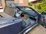 Mercedes-Benz 500SL  - Mercedes-Benz 500: Cabrio
