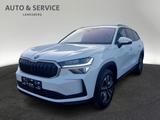Skoda Kodiaq Selection 2,0 TDI 193 PS DSG 4x4 *AHK*