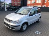 Fiat Panda 1.2 8V Dynamic Klimaanlage Allwetterreifen - Fiat Panda Gebrauchtwagen in Mönchengladbach