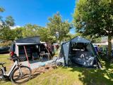 Volkswagen VW California Ocean / Bulli / T6 / Camper / Bus - VW T6 California in Essen