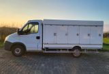 Iveco 35S11 CARLSEN|TIEFKÜHL|EIS|ICE|5/5|MOTORSCHADEN - Angebote entsprechen deinen Suchkriterien