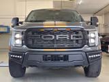 Ford F 150/5.0/V8/4X4 - Ford F 150: 5.0