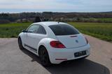 Volkswagen Beetle 1.2 TSI - - Volkswagen Beetle aus 2013