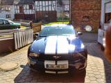 Ford Mustang 3,7 V6  - Ford Mustang aus 2012: V6