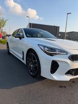 Kia Stinger 3.3 T-GDI AWD GT GT - weiße Kia Stinger