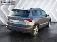 Skoda Karoq - Vorschau Bild 5