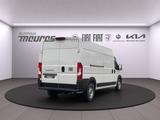 Fiat Ducato Kastenwagen L3H2 Multijet Hochdach verble - Fiat Ducato: 2.3