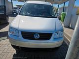 Volkswagen Caddy Maxi - Volkswagen Caddy Maxi aus 2009