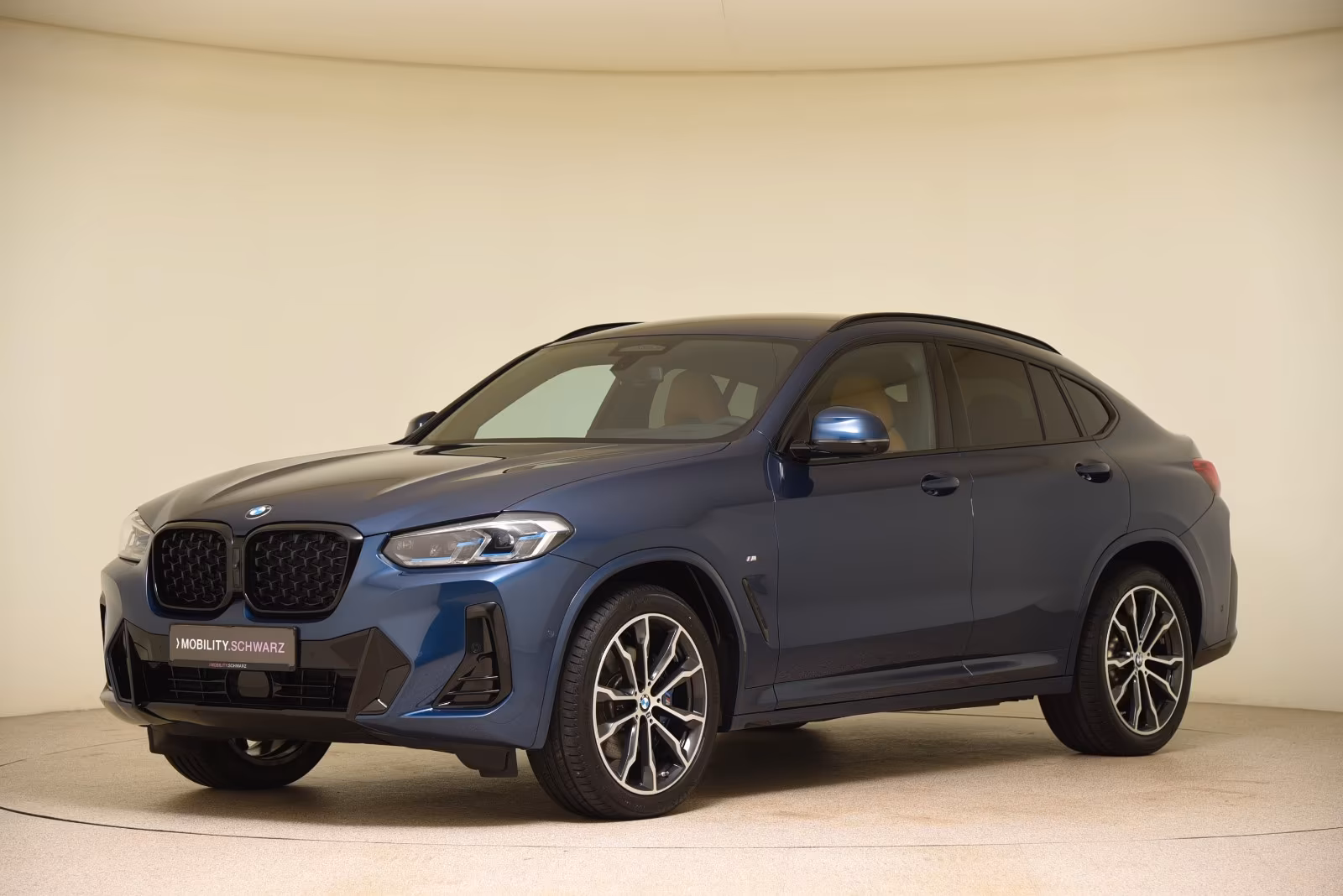 BMW X4 xDrive30d M Sport HUD ACC Laser AHK Standhzg