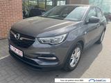 Opel Grandland X 1.2T Edition Aut. Navi 1/2 Sport-Le