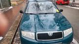 Skoda Winterauto - gebrauchte Skoda Fabia aus dem Jahr 2000