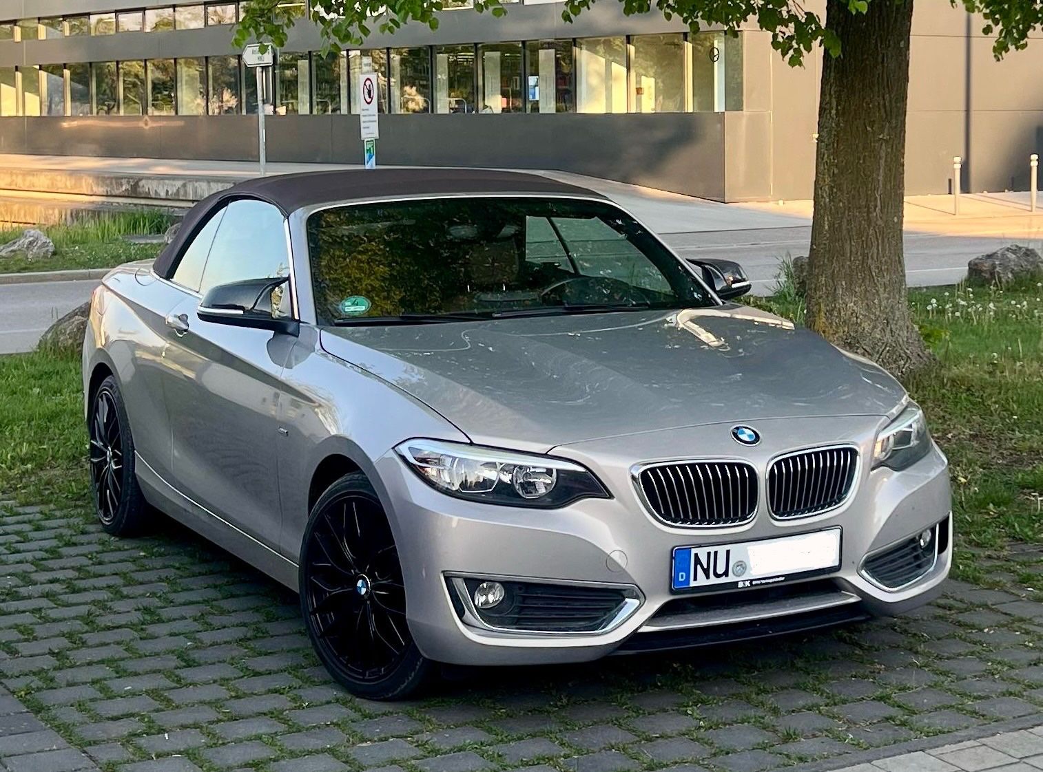 BMW 230i Cabrio Luxury Line Moonlight Metallic 