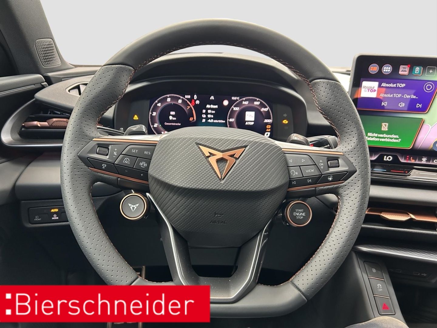 Cupra Terramar - Bild 12