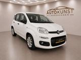 Fiat Panda More 2.Hand PDC Klima Bluetooth El.Fenster - Fiat Panda Gebrauchtwagen in Hannover
