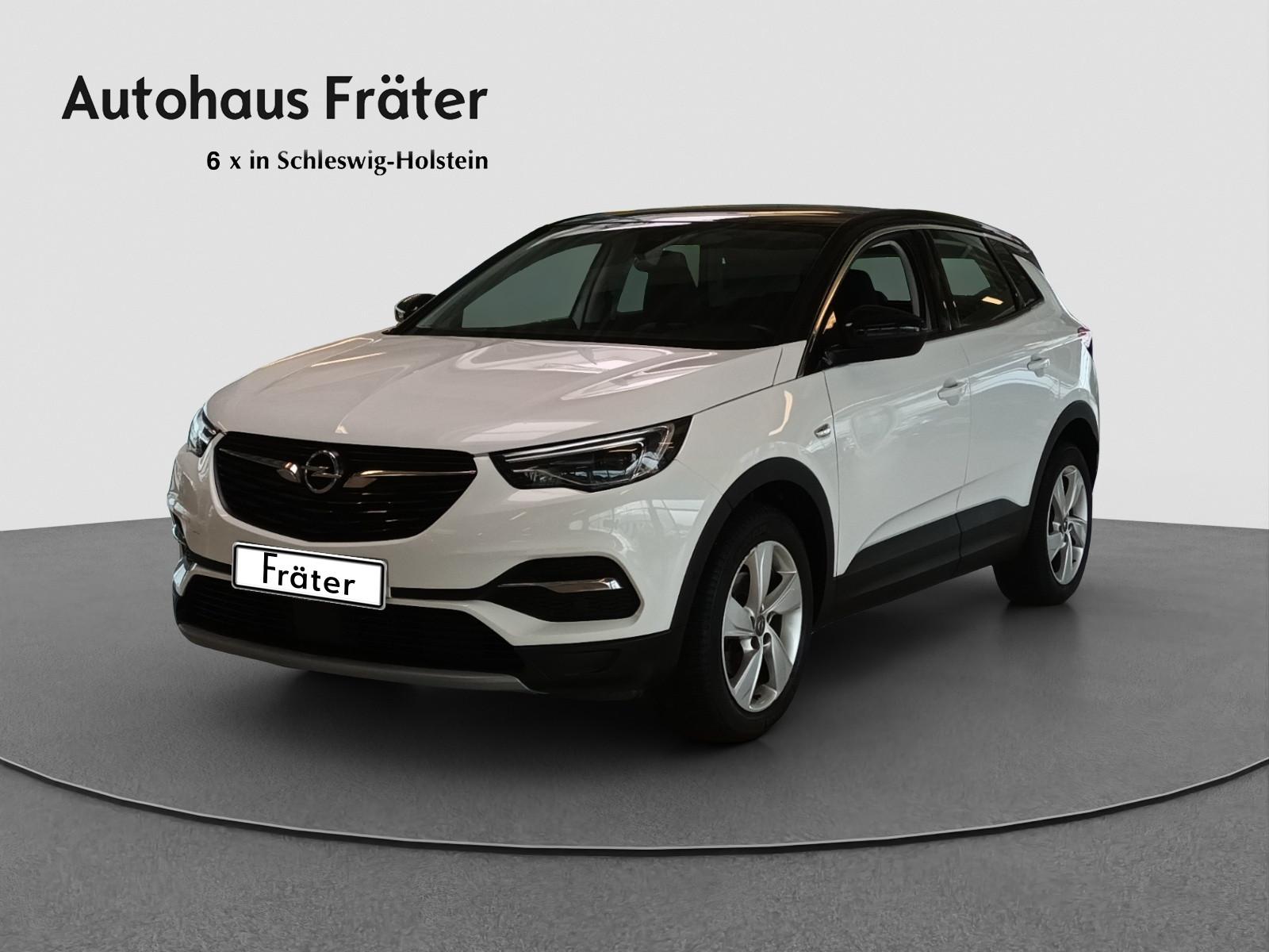 Opel Grandland X Innovation Navi Kamera