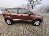 Ford EcoSport Trend - Ford: Gold