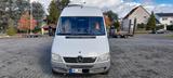 Mercedes-Benz Sprinter / Wohnmobil / Selbstausbau - Mercedes-Benz Sprinter: Wohnmobil