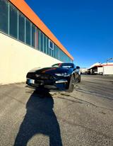 Ford Mustang 5.0 Ti-VCT V8 GT Auto GT - Ford Mustang Gebrauchtwagen in Dresden