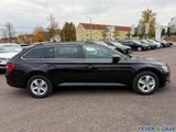 Skoda Superb Combi Ambition 2.0 TDI LED/DSG/SHZ/Navi/S - Skoda Superb Tageszulassungen