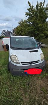 Opel Vivaro - gebrauchte Opel Vivaro aus dem Jahr 2004