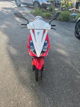 Peugeot Jet Force C-tech  50 - Offers